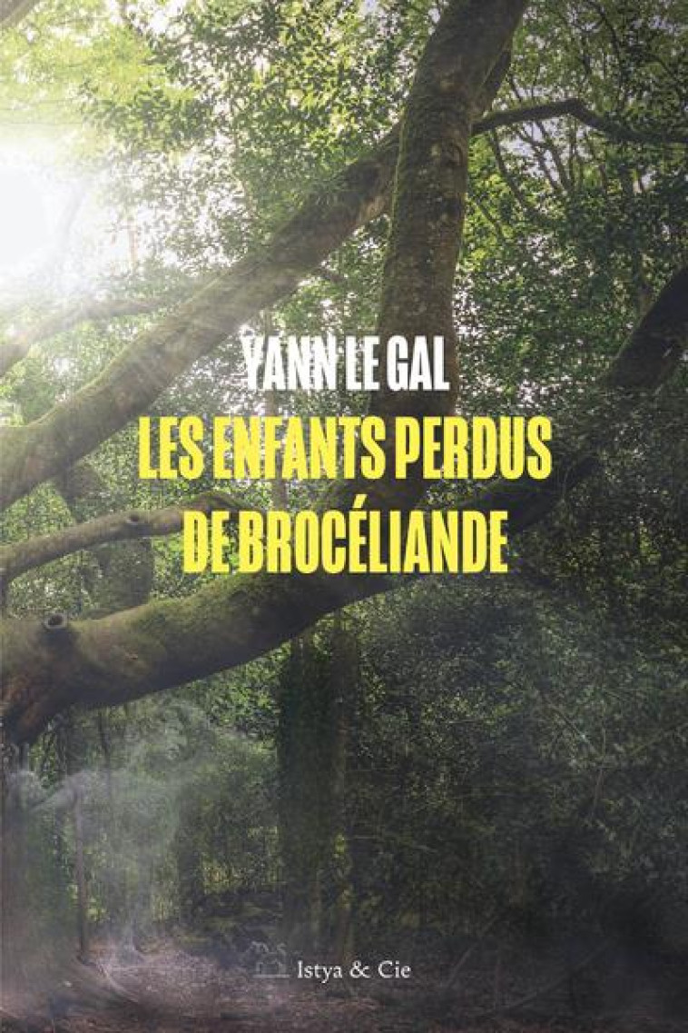 LES ENFANTS PERDUS DE BROCELIANDE - LE GAL YANN - SLATKINE