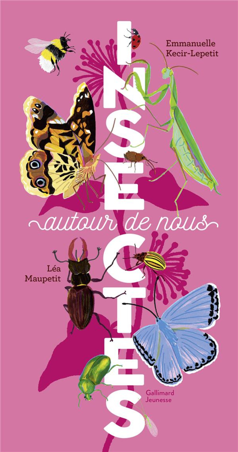 INSECTES AUTOUR DE NOUS - EMMANUELLE KECIR-LEPETIT - GALLIMARD