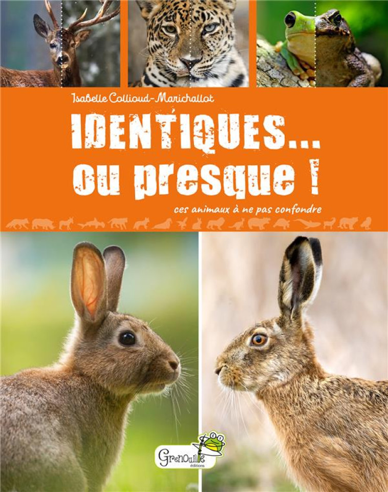 IDENTIQUES... OU PRESQUE ! - COLLIOUD-MARICHALLOT - GRENOUILLE