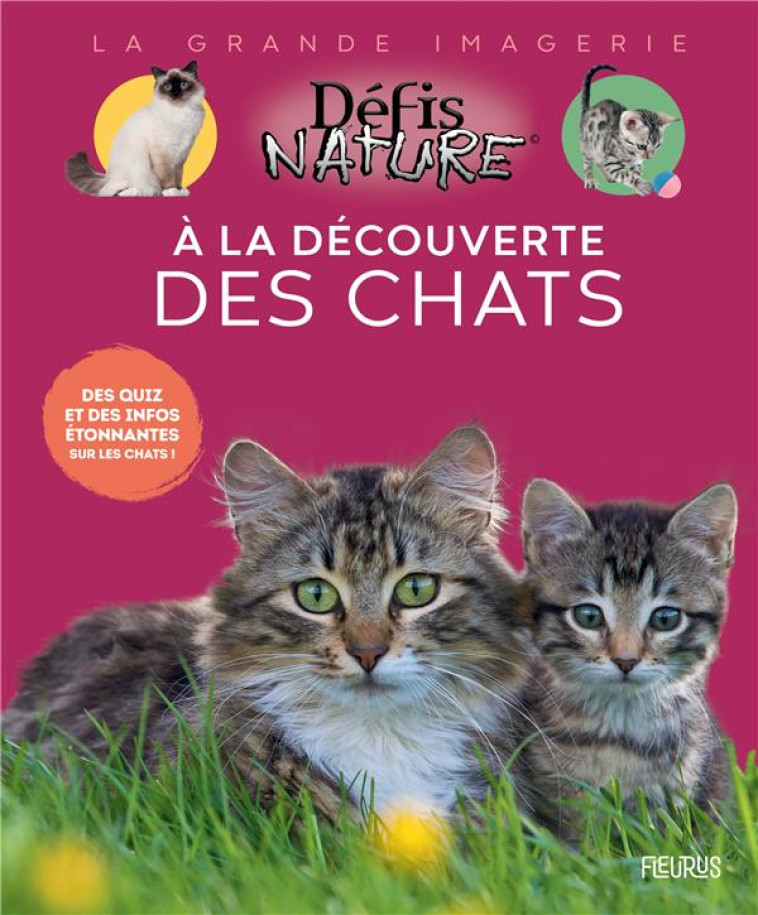 A LA DECOUVERTE DES CHATS - TROCHET-DESMAZIERS - FLEURUS