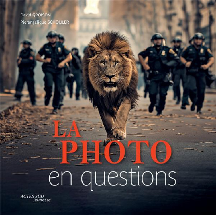 LA PHOTO EN QUESTIONS - GROISON/SCHOULER - ACTES SUD