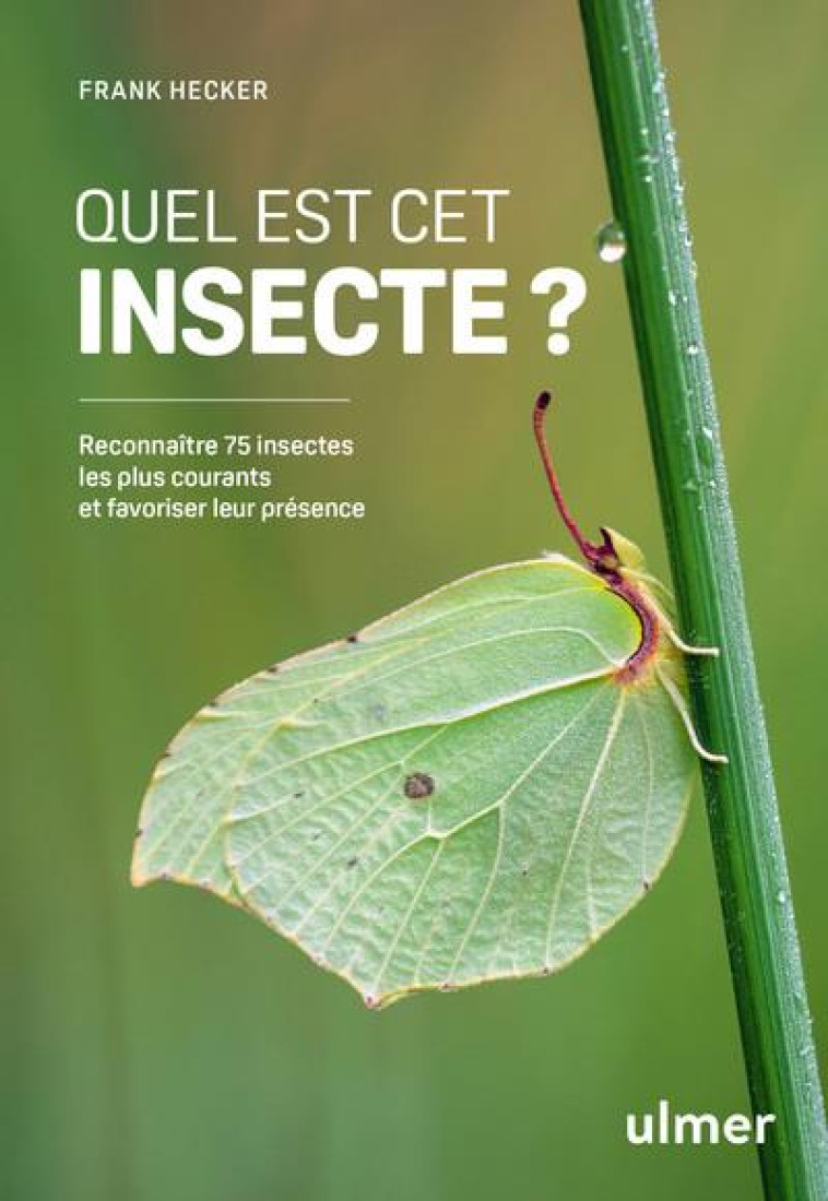 QUEL EST CET INSECTE ? - HECKER FRANK - ULMER