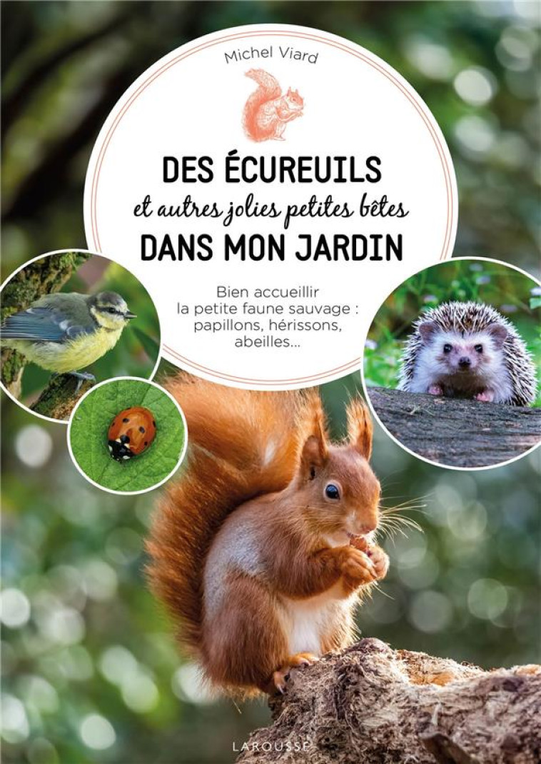 DES ECUREUILS ET AUTRES JOLIES PETITES BETES DANS MON JARDIN - VIARD MICHEL - LAROUSSE