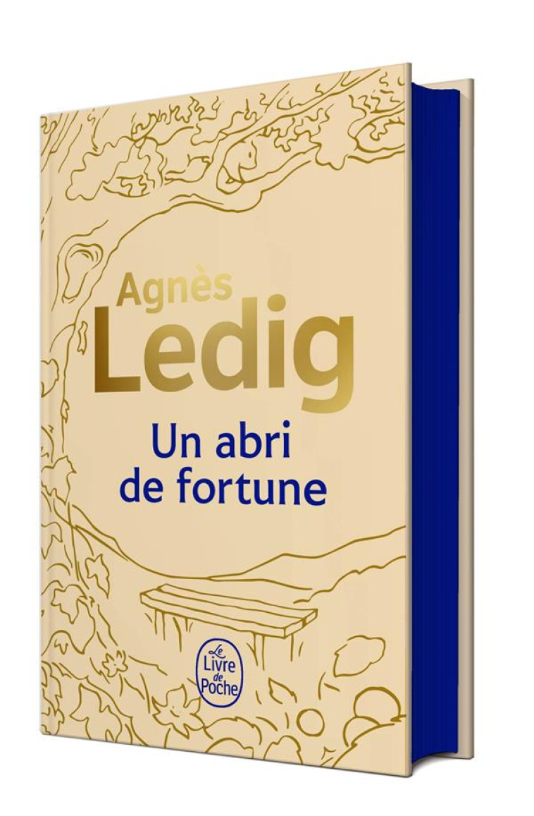 UN ABRI DE FORTUNE - COLLECTOR - LEDIG AGNES - LGF/Livre de Poche