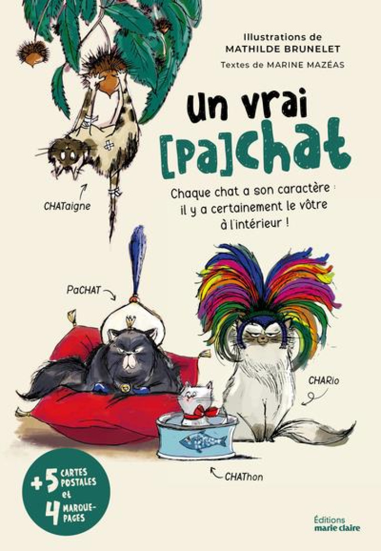 UN VRAI (PA)CHAT - BRUNELET/MAZEAS - NC