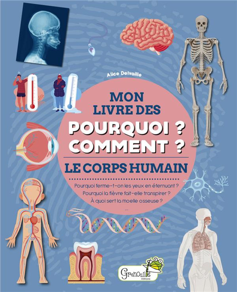 POURQUOI ? COMMENT ? LE CORPS HUMAIN - DELVAILLE ALICE - GRENOUILLE