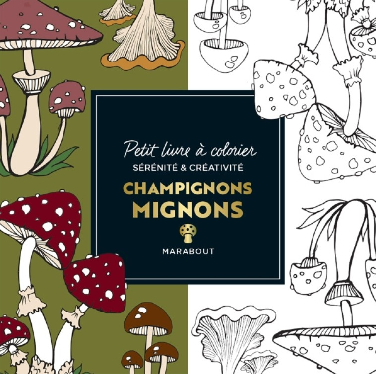 LE PETIT LIVRE DE COLORIAGES - CHAMPIGNONS MIGNONS - COLLECTIF - MARABOUT