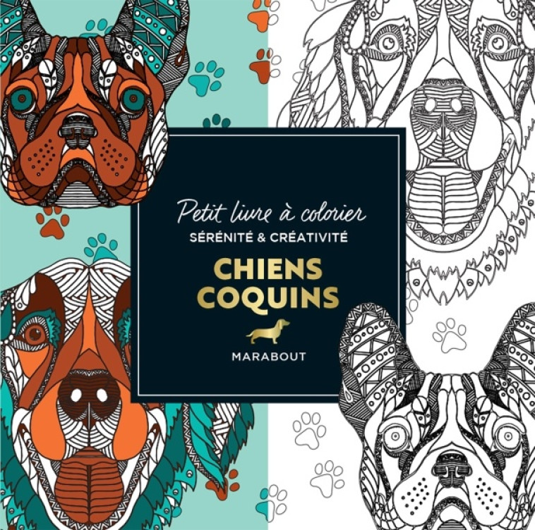 PETIT LIVRE A COLORIER - CHIENS COQUINS - COLLECTIF - MARABOUT