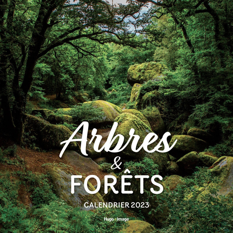 CALENDRIER MURAL ARBRES ET FORETS 2023 - COLLECTIF - HUGO IMAGE