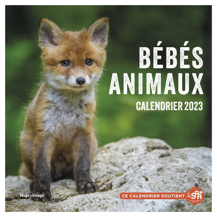 CALENDRIER MURAL BEBES ANIMAUX 2023 - COLLECTIF - HUGO IMAGE