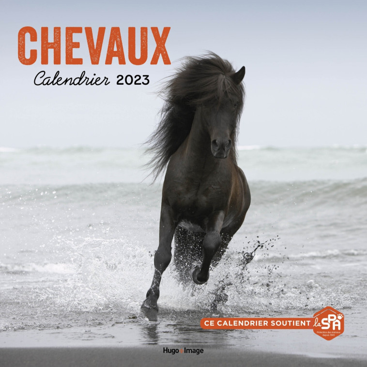 CALENDRIER MURAL CHEVAUX 2023 - COLLECTIF - HUGO IMAGE