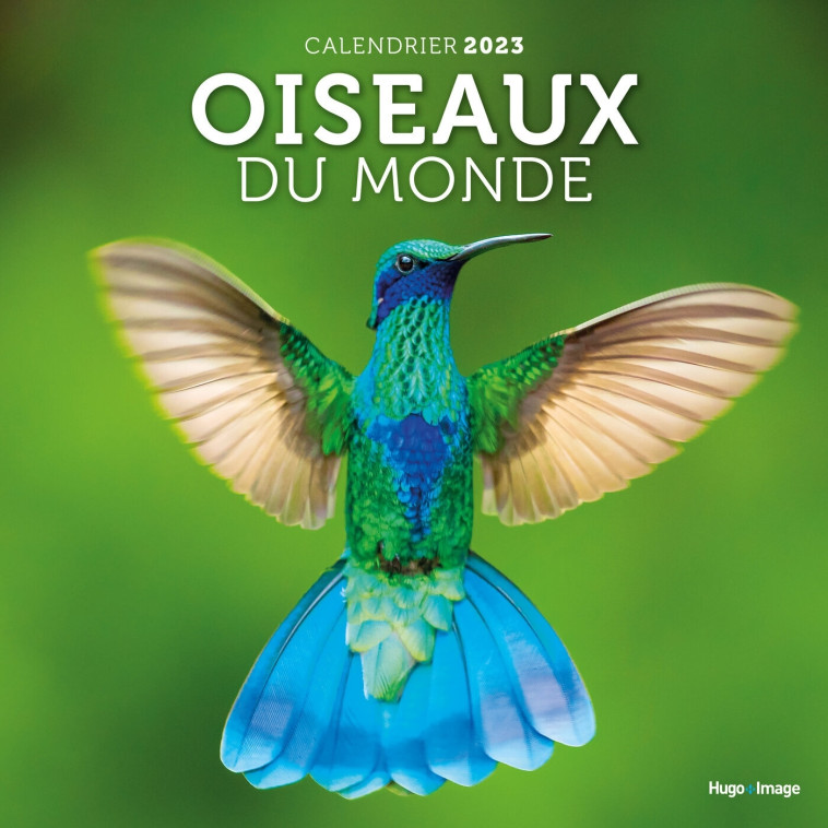 CALENDRIER OISEAUX DU MONDE 2023 - COLLECTIF - HUGO IMAGE