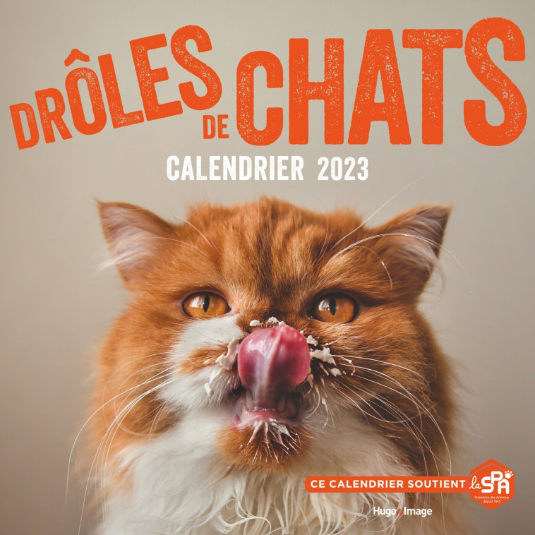 CALENDRIER MURAL - DROLES DE CHATS 2023 - COLLECTIF - HUGO IMAGE