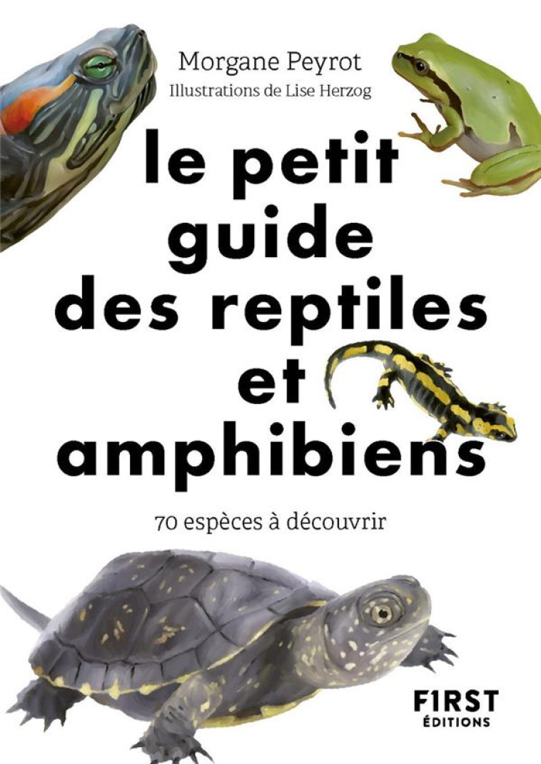 LE PETIT GUIDE NATURE DES REPTILES ET AMPHIBIENS - PEYROT/HERZOG - FIRST