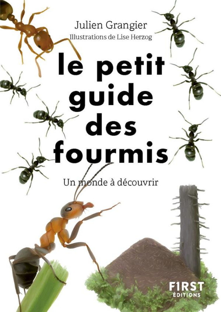 LE PETIT GUIDE DES FOURMIS - GRANGIER JULIEN - FIRST