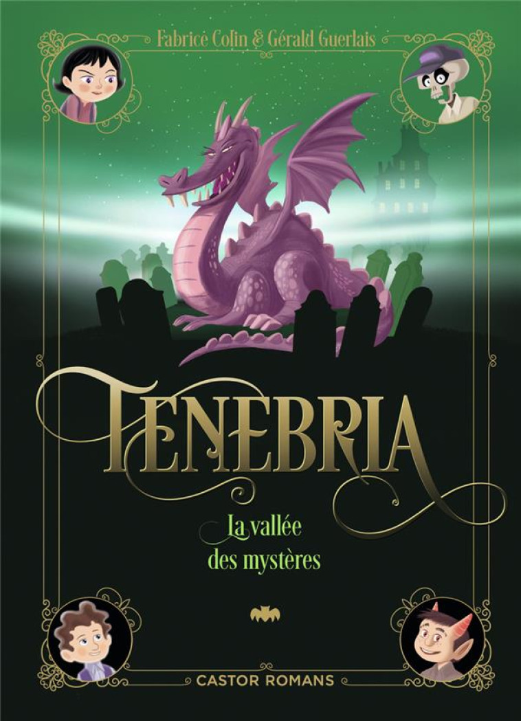 TENEBRIA T03 LA VALLEE DES MYSTERES - COLIN/GUERLAIS - FLAMMARION