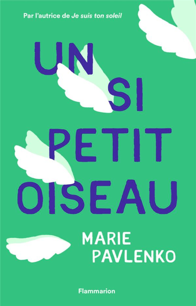 UN SI PETIT OISEAU - PAVLENKO MARIE - FLAMMARION