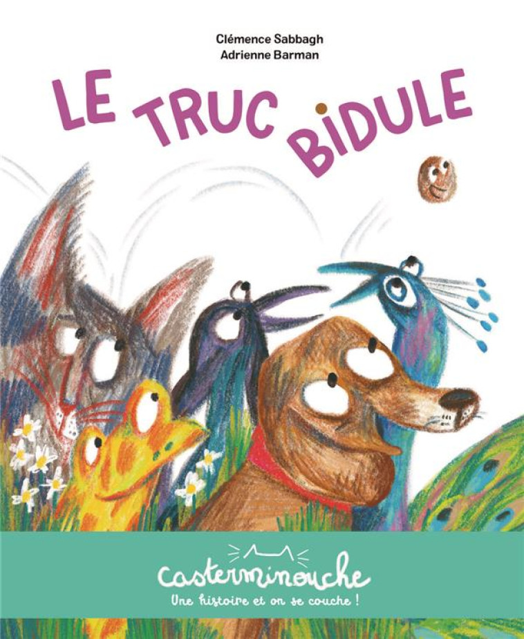 LE TRUC BIDULE - SABBAGH/BARMAN - CASTERMAN