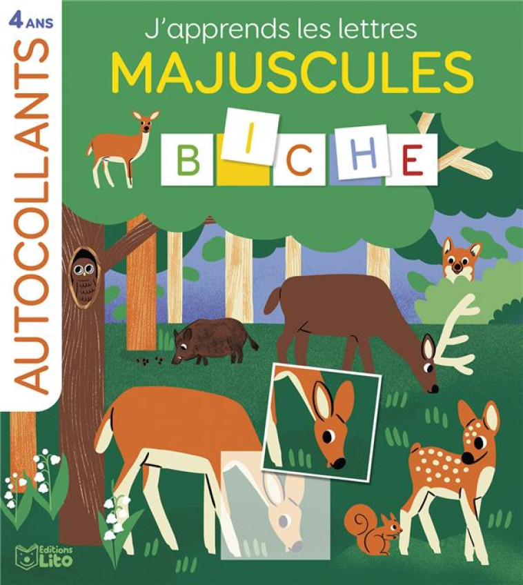 J-APPRENDS LES LETTRES MAJUSCULES DANS LA FORET - AURELIE ABOLIVIER - LITO