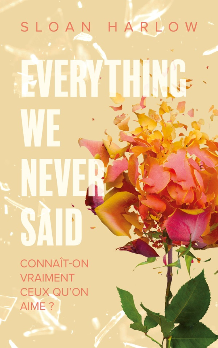 EVERYTHING WE NEVER SAID - HARLOW SLOAN - HACHETTE