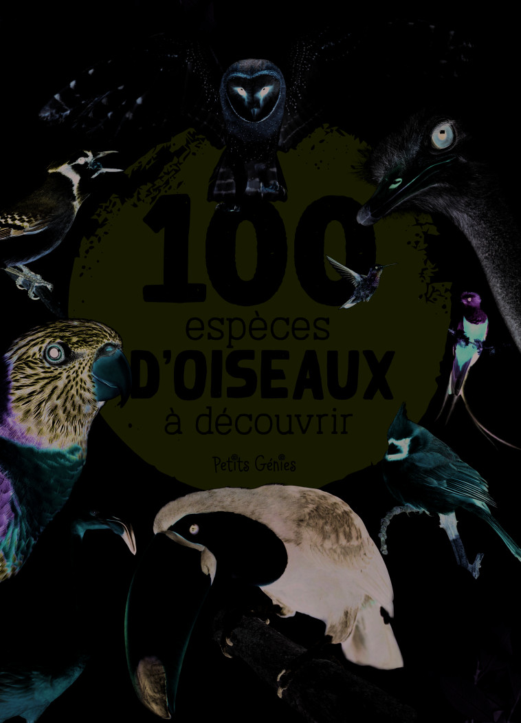 100 ESPECES D-OISEAUX A DECOUVRIR - COTE MARIE-EVE - PETITS GENIES