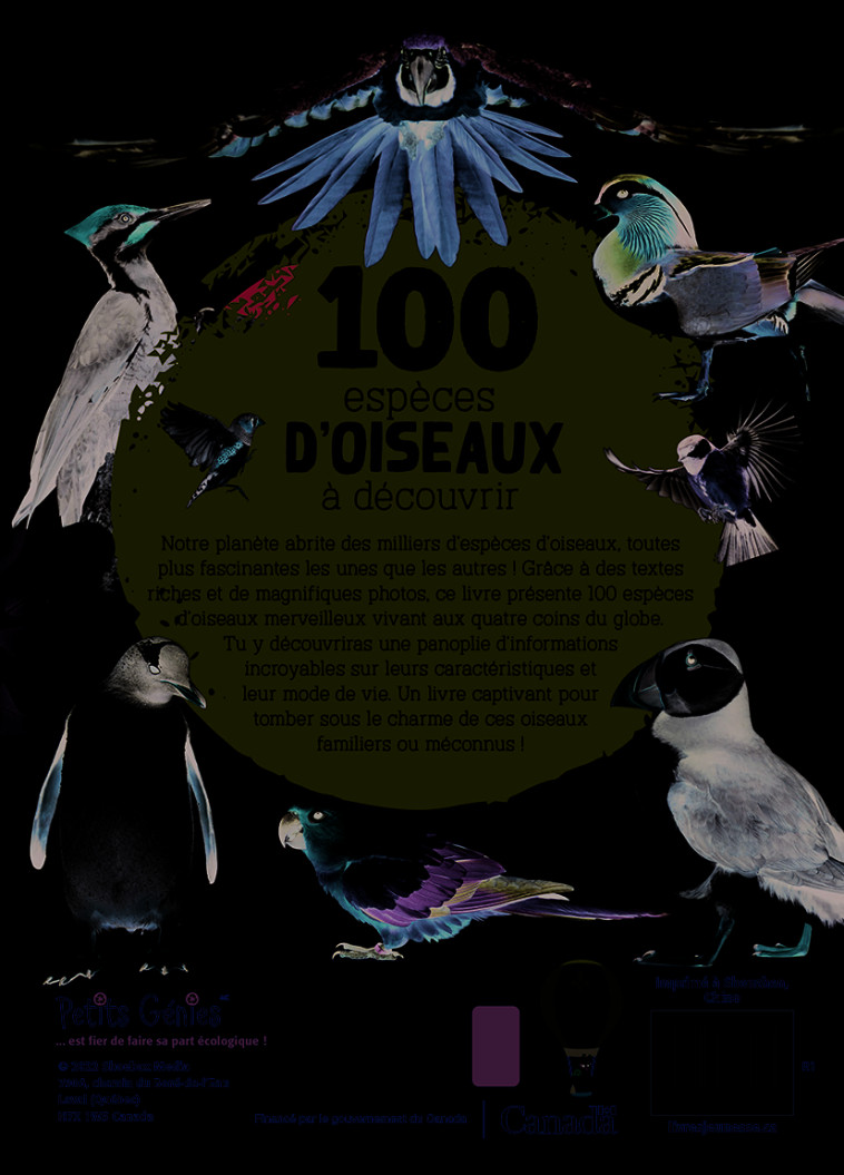 100 ESPECES D-OISEAUX A DECOUVRIR - COTE MARIE-EVE - PETITS GENIES