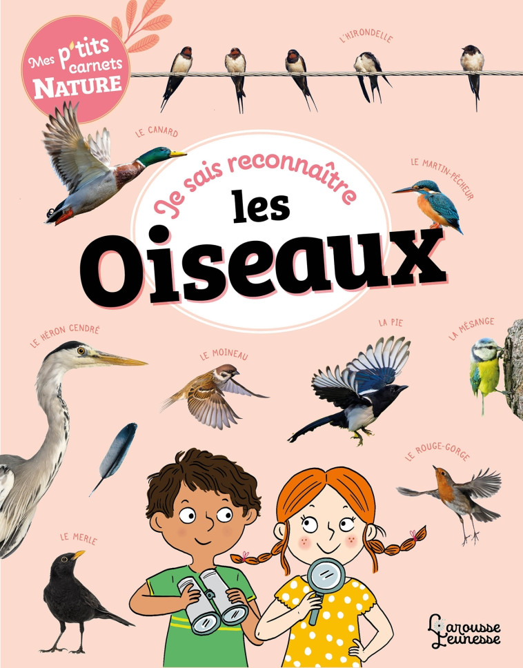 JE SAIS RECONNAITRE LES OISEAUX - MES PTITS CARNETS NATURE - LEBRUN SANDRA - LAROUSSE