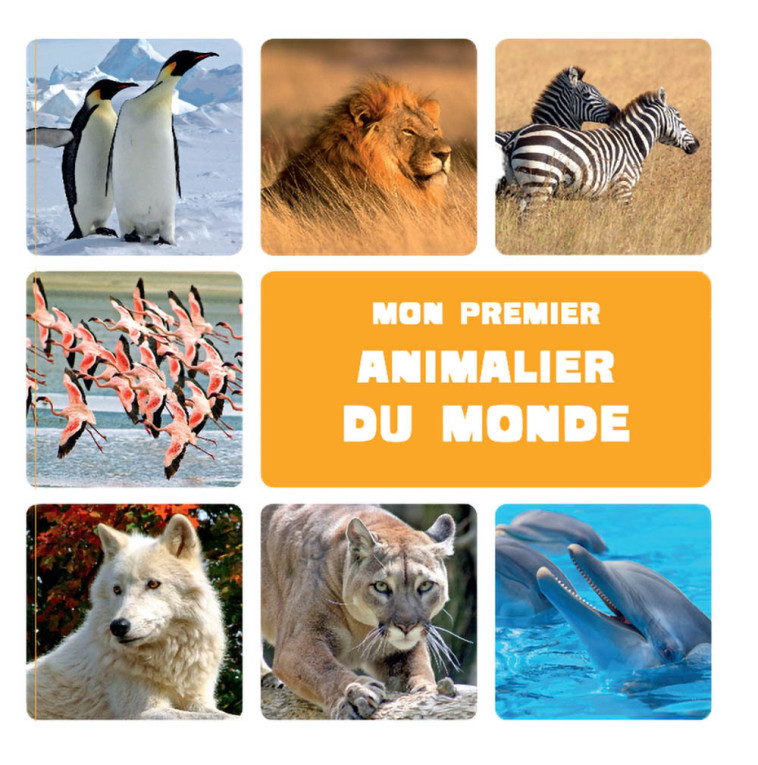 MON PREMIER ANIMALIER DU MONDE - Patrick David - AUZOU