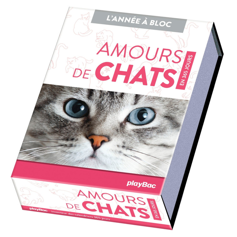 Calendrier Amours de chats en 365 jours - L'Année à bloc - PLAYBAC EDITIONS ,   - PLAY BAC