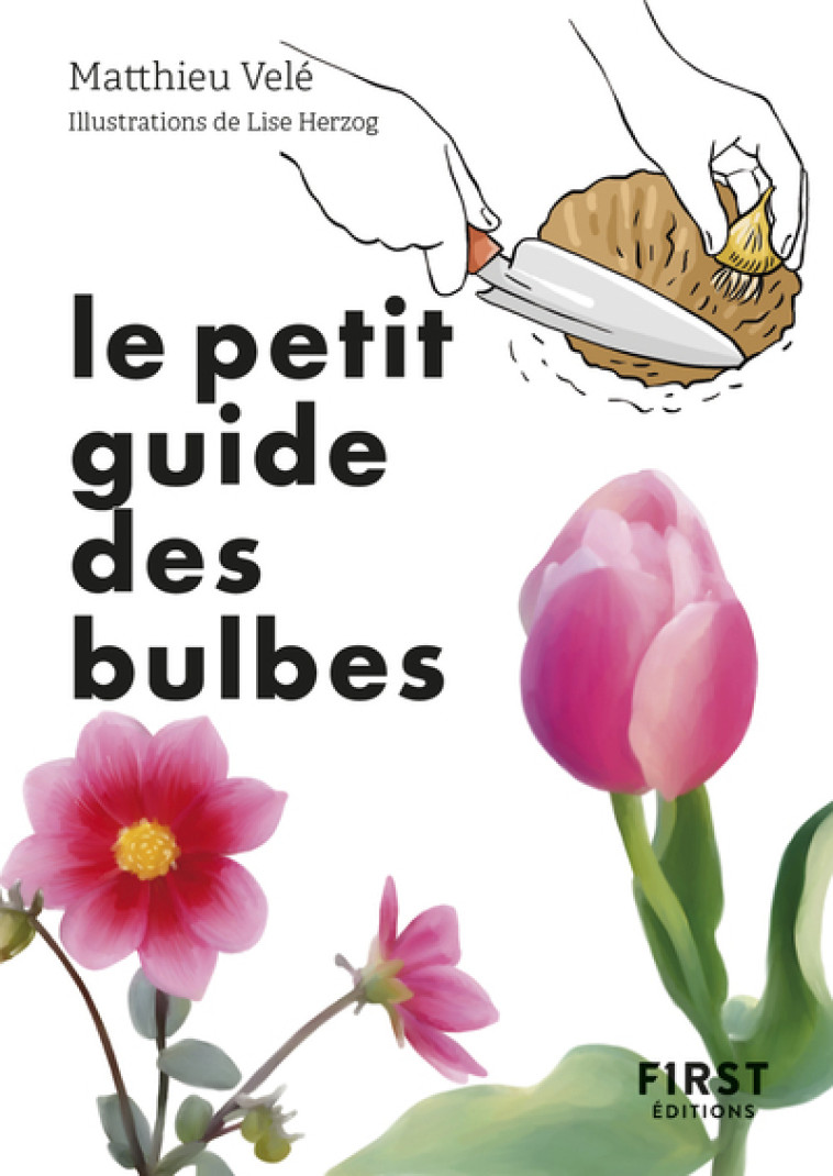 Le Petit guide des bulbes - Collectif Collectif, Velé Matthieu, Herzog Lise - FIRST