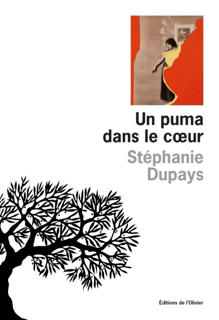 Un puma dans le coeur - Dupays Stéphanie - OLIVIER