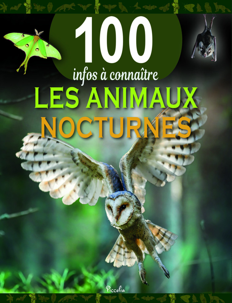 Les animaux nocturnes - 100 infos à connaître - Collectif  - PICCOLIA