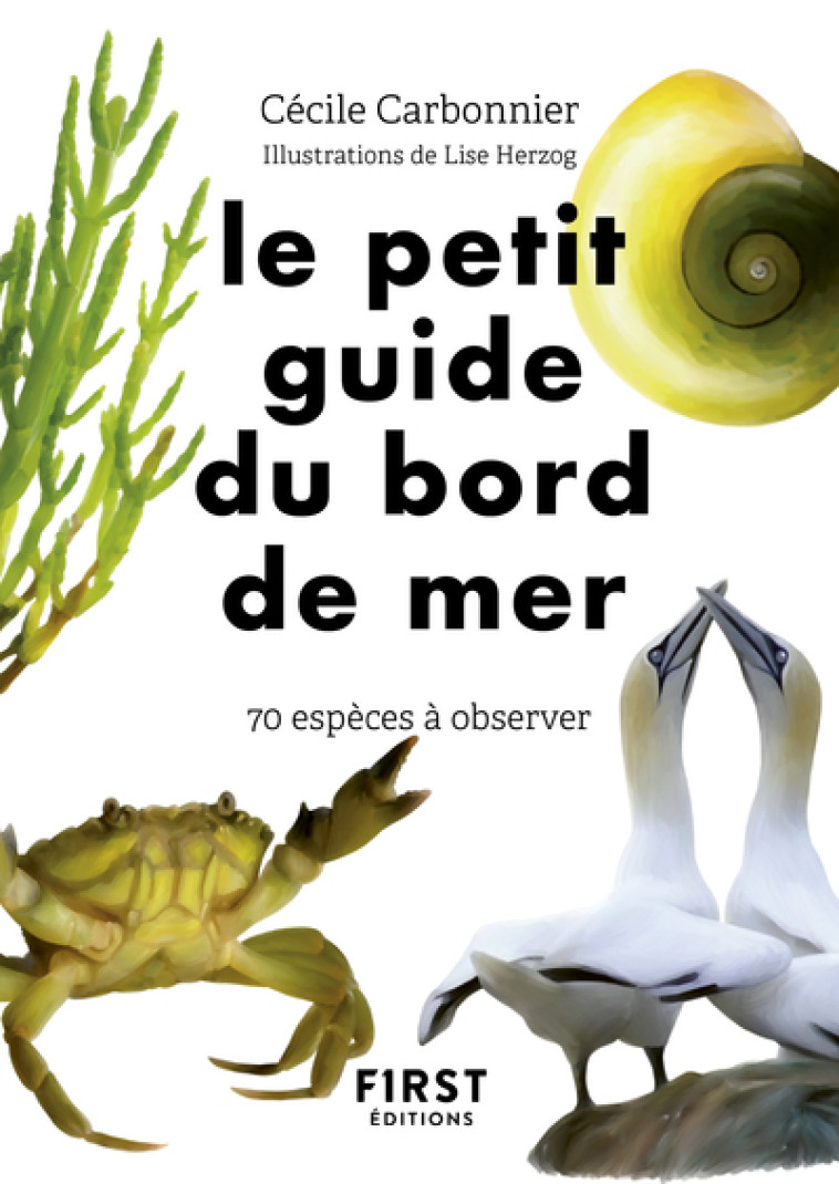 Le Petit Guide du bord de mer - Carbonnier Cécile, Herzog Lise - FIRST