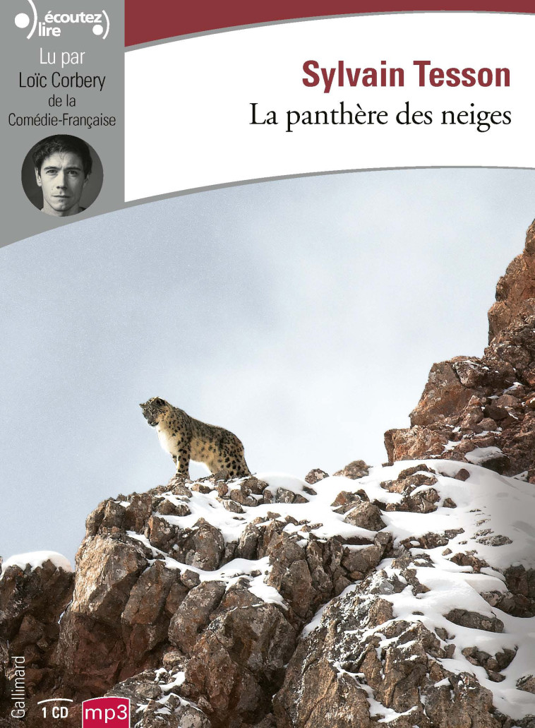 La panthère des neiges - Tesson Sylvain - GALLIMARD