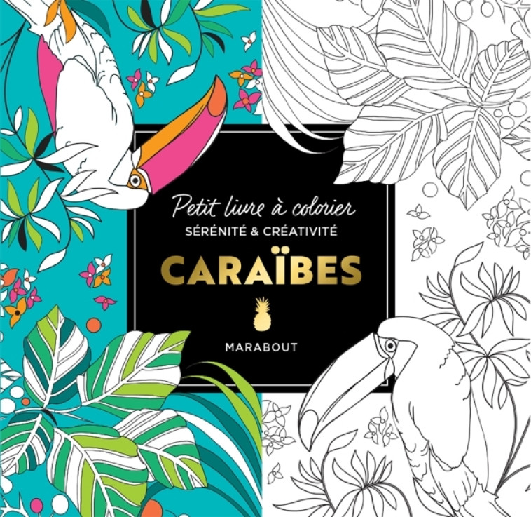 Le petit livre de coloriages : Caraïbes - XXX - MARABOUT