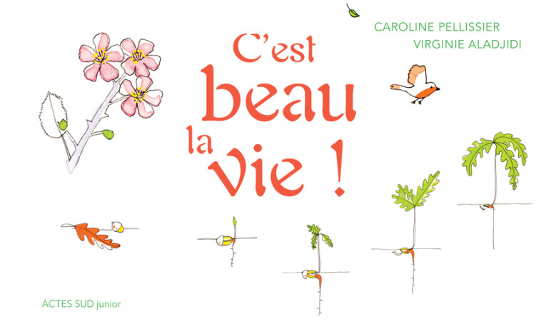 C'est beau la vie ! - Pellissier Caroline, Aladjidi Virginie - ACTES SUD