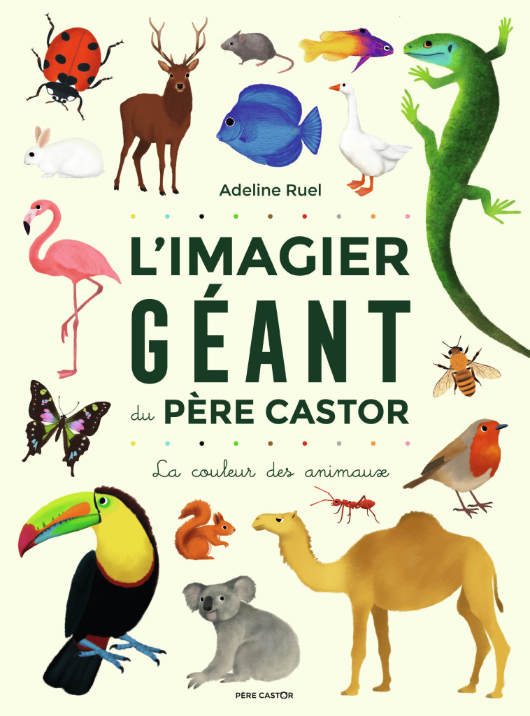 L'Imagier géant du Père Castor - Ruel Adeline - PERE CASTOR