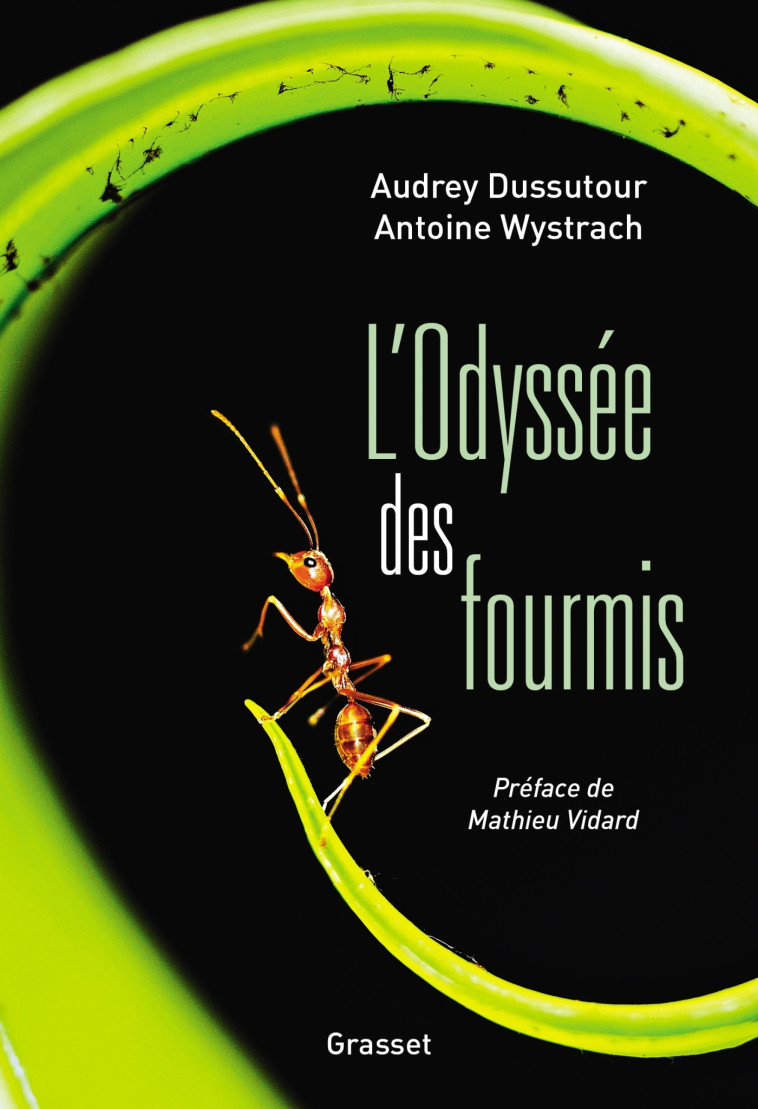 L'Odyssée des fourmis - Dussutour Audrey, Wystrach Antoine - GRASSET