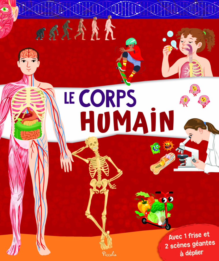 Le corps humain - Collectif  - PICCOLIA