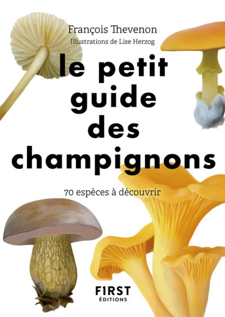 Le Petit Guide des champignons - 70 espèces à découvrir - Thevenon François, Herzog Lise - FIRST