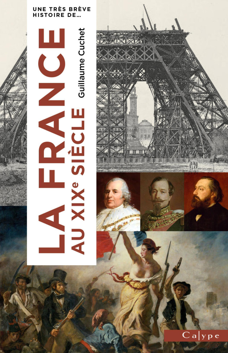 UNE TRES BREVE HISTOIRE - LA FRANCE AU XIXE SIECLE - CUCHET GUILLAUME - CALYPE