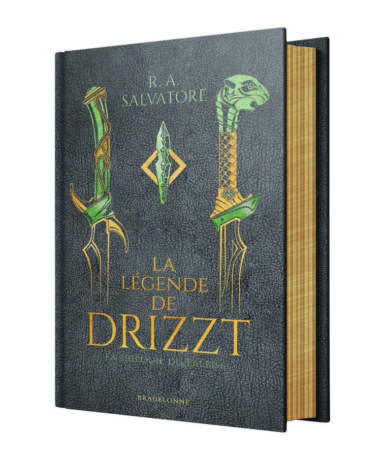 Les Royaumes oubliés Collector : La Légende de Drizzt - La trilogie du Valbise (Collector) - Salvatore R.A., Betsch Éric, Murphy Laurence, Cointot Fanélie - BRAGELONNE