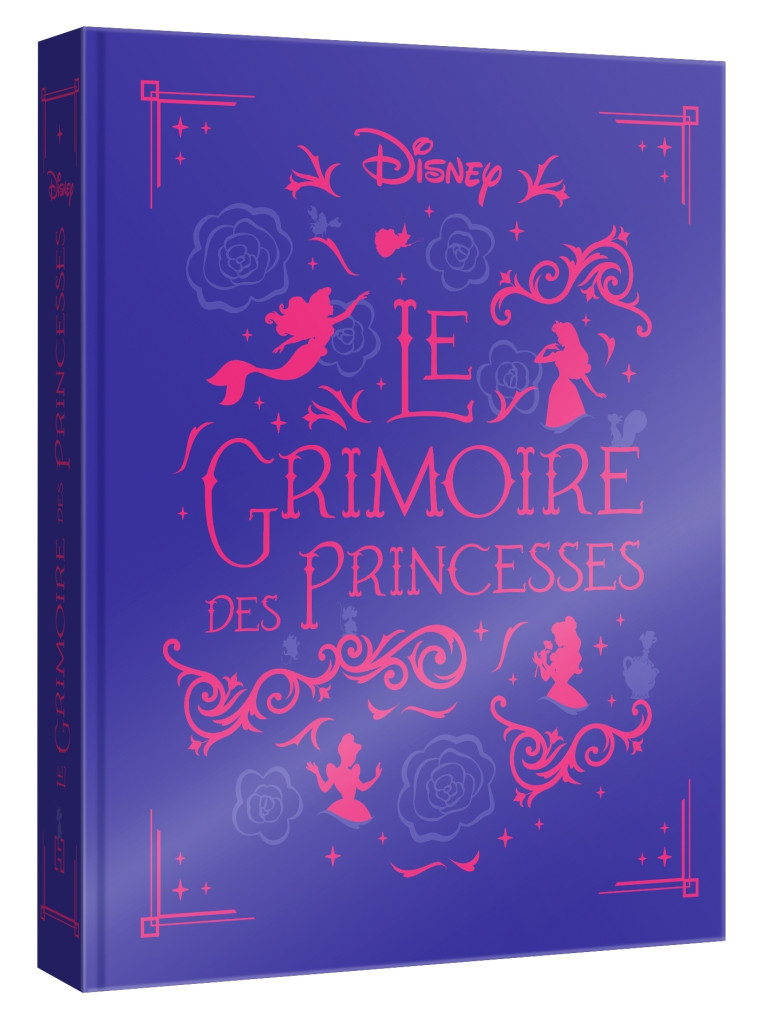 DISNEY PRINCESSES - Le Grimoire des Princesses - 10 histoires de Blanche-Neige à Rebelle - XXX - DISNEY HACHETTE