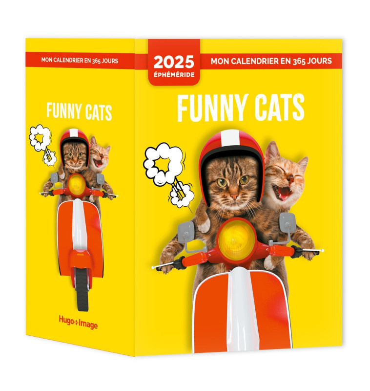 Mon calendrier 2025 - Funny cats - COLLECTIF - HUGO IMAGE