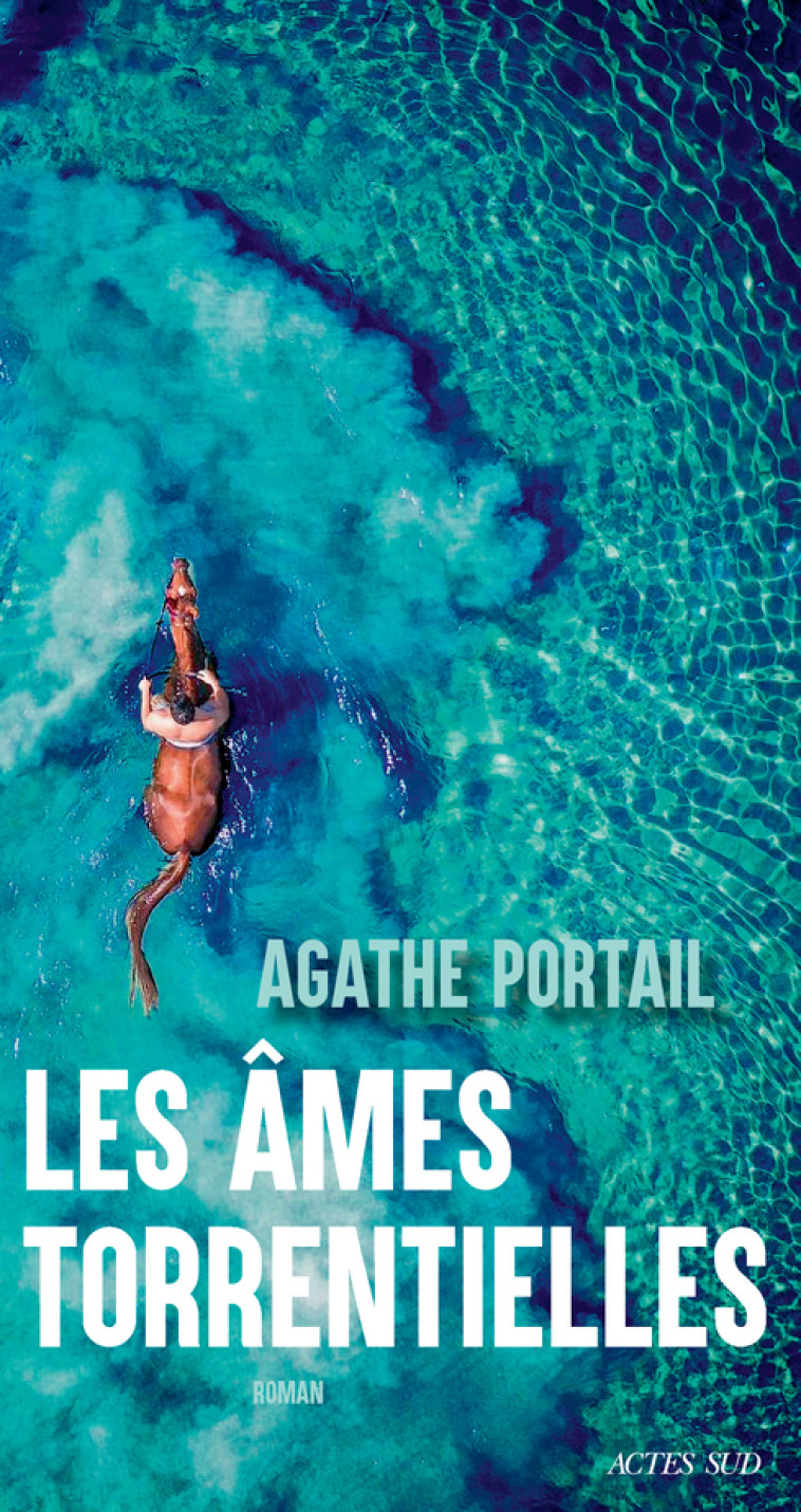 Les Âmes torrentielles - PORTAIL AGATHE - ACTES SUD