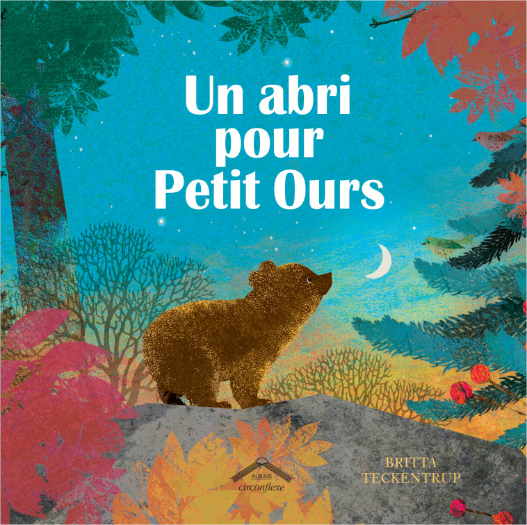 Un abri pour Petit Ours - Britta Teckentrup - CIRCONFLEXE