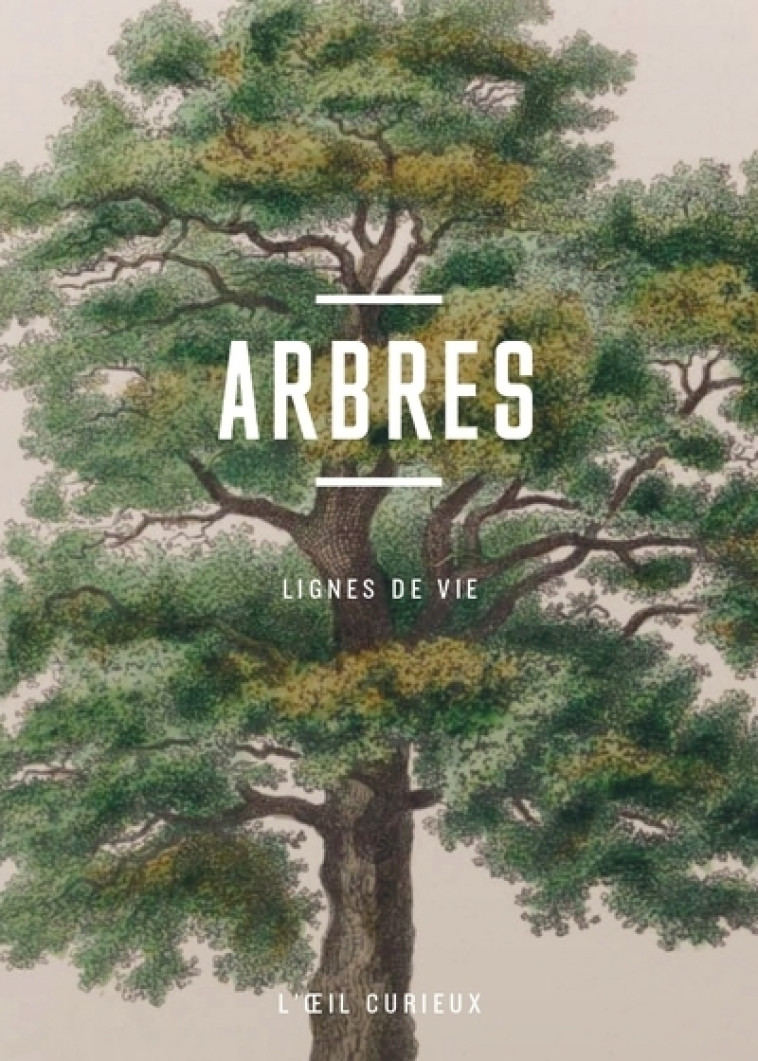 Arbres - Lignes de vie - Luc Menapace - BNF