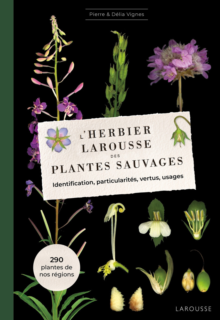 L'Herbier des plantes sauvages - Pierre Vignes, Délia Vignes - LAROUSSE