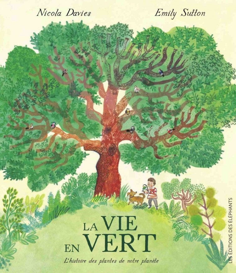 La Vie en Vert - L'histoire des plantes de notre planète - Nicola DAVIES, Emily Sutton, Ilona MEYER - DES ELEPHANTS