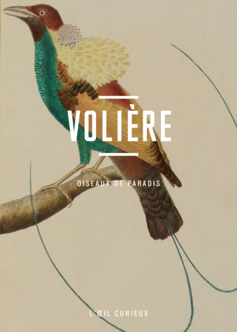 Volière - Oiseaux de paradis - Corinne Le Bitouzé - BNF